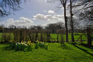 Photo 2- click for photo gallery